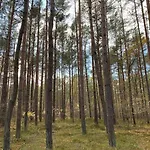 Fuer Naturliebhaber Apartman Peenemünde