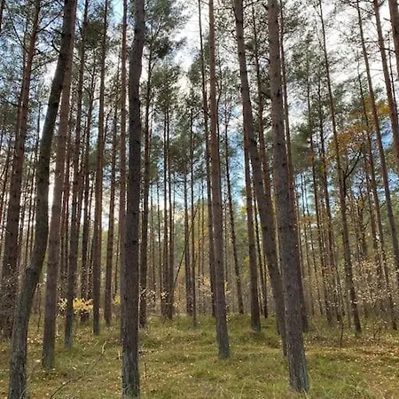 Fuer Naturliebhaber Apartamento Peenemunde